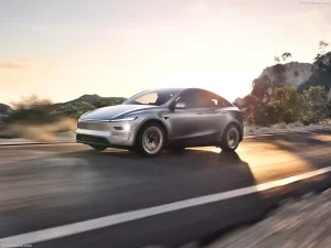 تسلا تدخل السوق الهندي بسيارة Model Y وسط تحديات جمركية - 7 - سيناء الإخبارية
