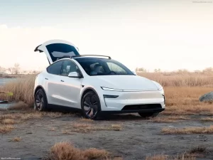 تسلا تدخل السوق الهندي بسيارة Model Y وسط تحديات جمركية - 9 - سيناء الإخبارية