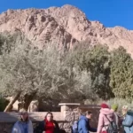 جنوب سيناء تسجل طفرة سياحية غير مسبوقة.. 4 ملايين سائح وزيادة 40% في الإشغالات - 20 - سيناء الإخبارية جنوب سيناء تسجل طفرة سياحية غير مسبوقة.. 4 ملايين سائح وزيادة 40% في الإشغالات - 19 - سيناء الإخبارية
