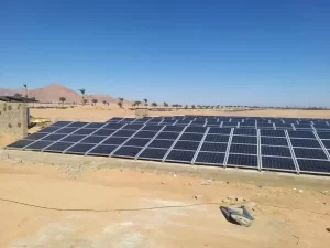 جنوب سيناء تواصل التحول الأخضر لجعل شرم الشيخ مدينة سياحية مستدامة لجعل شرم الشيخ مدينة سياحية مستدامة - 1 - سيناء الإخبارية