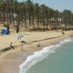 سيناء تنبض بالحياة.. مشروعات عملاقة تغير وجه الصحراء وتضعها على خريطة المستقبل - 1 - سيناء الإخبارية