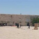 قوات الاحتلال تعتقل مفتي القدس بعد خطبة نارية في المسجد الأقصى - 1 - سيناء الإخبارية