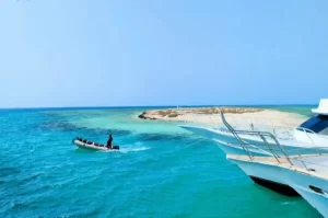 "أم الشيخ".. جوهرة الجنوب التي تأسر القلوب في أعماق البحر الأحمر - 5 - سيناء الإخبارية