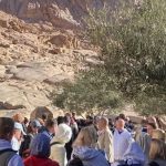 سانت كاترين تستعيد بريقها السياحي.. 249 زائرًا يتسلقون جبل موسى - 1 - سيناء الإخبارية