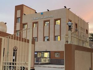 تشغيل رسمي لمنظومة التأمين الصحي الشامل بمحافظة أسوان - 3 - سيناء الإخبارية