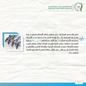 سلامة الغذاء : حملات رقابية مكثفة وتشديد الرقابة على الأسواق والموانئ - 21 - سيناء الإخبارية