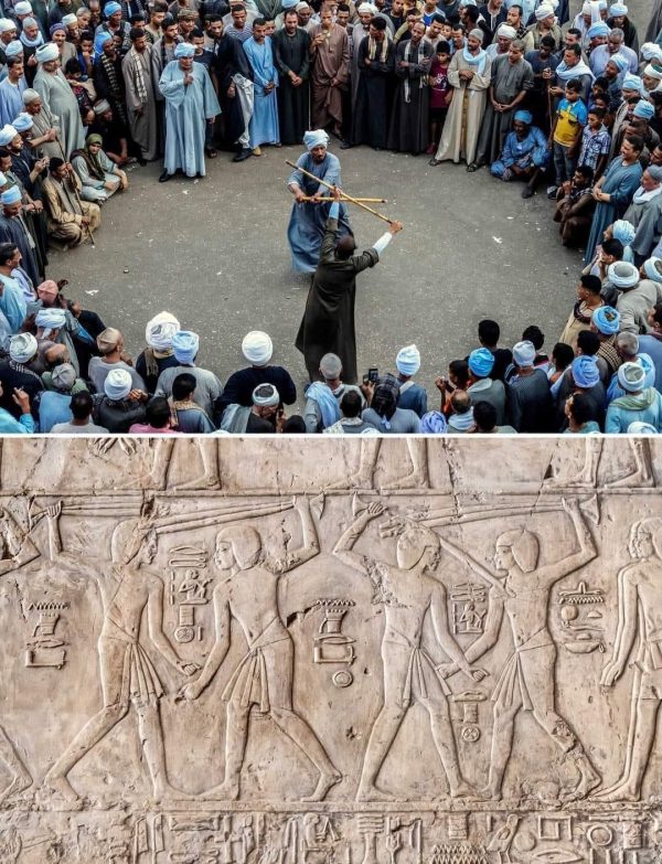 من التراب إلى السماء: كيف يحول التحطيب الصعيدي الصلابة إلى إبداع؟" - 7 - سيناء الإخبارية