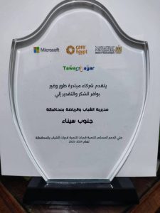 "طوّر وغيّر".. وزارة الشباب والرياضة تحتفل بإنجازات المبادرة - 3 - سيناء الإخبارية