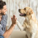 الكلاب والقطط.. أسلحة طبيعية ضد شيخوخة الدماغ - 239 - سيناء الإخبارية