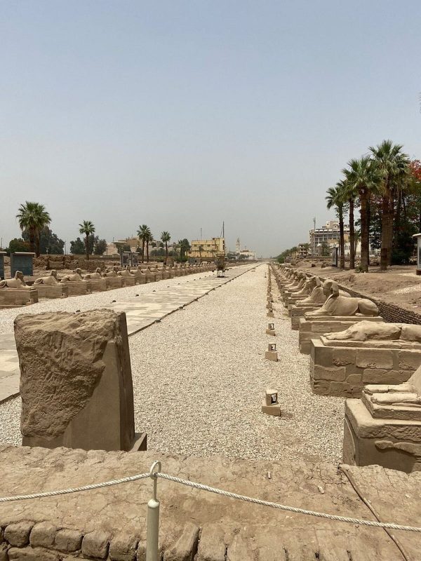 معبد الأقصر.. تحفة معمارية خالدة تروي مجد الفراعنة - 11 - سيناء الإخبارية