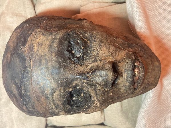 كنوز مقبرة توت عنخ آمون تروي أسرار الفراعنة - 21 - سيناء الإخبارية
