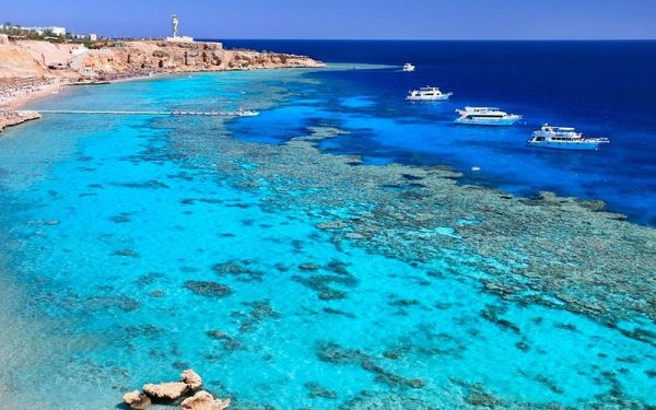 الفنار بشرم الشيخ.. ملتقى الجمال الطبيعي وروعة الغوص - 3 - سيناء الإخبارية