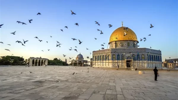 القدس: زهرة المدائن وقبلة الأرواح - 7 - سيناء الإخبارية