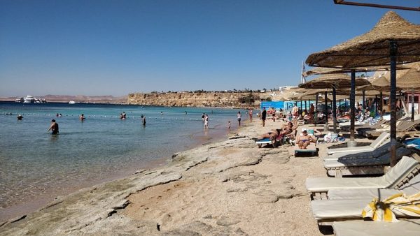 الفنار بشرم الشيخ.. ملتقى الجمال الطبيعي وروعة الغوص - 21 - سيناء الإخبارية