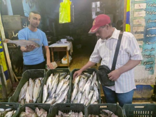 مديرية الزراعة بشمال سيناء تتابع أسعار السلع وجودتها بحملة ميدانية في المساعيد - 1 - سيناء الإخبارية