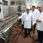 وزير الصناعة والنقل يوجّه بتوريد بلاطات مترو الأنفاق من الإنتاج المحلي لدعم الصناعة الوطنية - 1 - سيناء الإخبارية