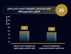 الرقابة المالية: التمويل والأنشطة التأمينية تتجاوز 640 مليار جنيه بنهاية يونيو 2025 - 7 - سيناء الإخبارية