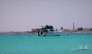 مطروح تتحول إلى وجهة صيفية ساحرة للمصطافين الباحثين عن الهدوء والمتعة - 3 - سيناء الإخبارية