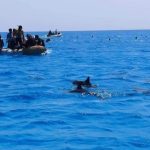 مرسى علم.. مالديف مصر التي تخطف أنفاس السياح بين محميات طبيعية وسحر الأعماق - 1 - سيناء الإخبارية