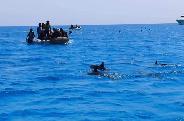مرسى علم.. مالديف مصر التي تخطف أنفاس السياح بين محميات طبيعية وسحر الأعماق - 1 - سيناء الإخبارية