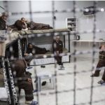 ملاحقة المحامين وتعذيب الأسرى الفلسطينيين في سجون الاحتلال ضمن سياسة قمع ممنهجة - 1 - سيناء الإخبارية