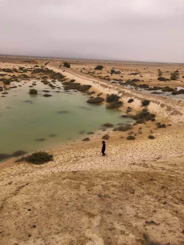 شرايين الحياة في شمال سيناء.. أرض خصبة تجمع الزراعة والثروات الطبيعية - 11 - سيناء الإخبارية