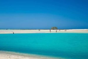مرسى علم.. مالديف مصر التي تخطف أنفاس السياح بين محميات طبيعية وسحر الأعماق - 13 - سيناء الإخبارية