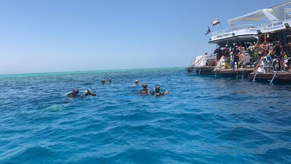 ارتفاع ملحوظ في إشغالات فنادق البحر الأحمر مع موسم الصيف .. صور - 9 - سيناء الإخبارية