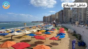 الإسكندرية تغلق شواطئها مؤقتًا بعد ارتفاع الأمواج إلى 3.2 متر - 11 - سيناء الإخبارية