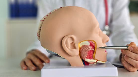 أول لسان اصطناعي في العالم.. يتذوق ويتعلم مثل البشر - 3 - سيناء الإخبارية