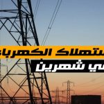 أزمة الكهرباء في الجيزة تُعيد رسم خريطة الطوارئ ..بخطة حكومية عاجلة ومولدات احتياطية لحماية المرافق الحيوية - 1 - سيناء الإخبارية