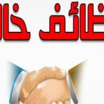 وزارة العمل تعلن عن فرص عمل جديدة في شركات صناعة الحلوى - 1 - سيناء الإخبارية