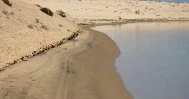 شرايين الحياة في شمال سيناء.. أرض خصبة تجمع الزراعة والثروات الطبيعية - 17 - سيناء الإخبارية