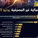 الرقابة المالية: التمويل والأنشطة التأمينية تتجاوز 640 مليار جنيه بنهاية يونيو 2025 - 1 - سيناء الإخبارية