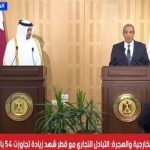 قطر ومصر تعززان الشراكة الاقتصادية بحزمة استثمارات ضخمة بقيمة 7.5 مليار دولار - 1 - سيناء الإخبارية