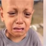عبد الله أبو زرقة... رحيل طفل هزمته قسوة المرض والجوع وصرخته باقية: «ماما أنا جعان» - 1 - سيناء الإخبارية