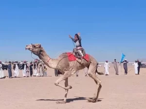 تطور رياضة الهجن في جنوب سيناء يثير اهتمام العالم - 3 - سيناء الإخبارية