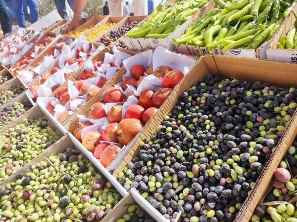 شرايين الحياة في شمال سيناء.. أرض خصبة تجمع الزراعة والثروات الطبيعية - 1 - سيناء الإخبارية