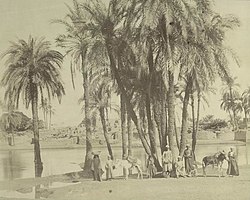 معرض "سحر مصر القديمة بعدسة إيطالية" يحتفي بأعمال أنطونيو بياتو - 1 - سيناء الإخبارية