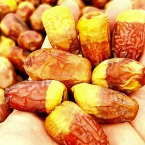 تمور الوادي الجديد ترسم البسمة على وجوه المزارعين بارتفاع قياسي للأسعار - 25 - سيناء الإخبارية
