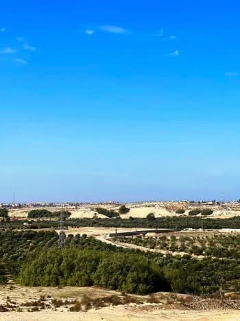 شرايين الحياة في شمال سيناء.. أرض خصبة تجمع الزراعة والثروات الطبيعية - 15 - سيناء الإخبارية