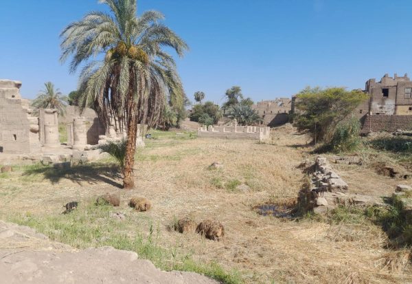 معابد مونتو في الأقصر تبدأ رحلة الإحياء بعد عقود من الإهمال.. صور - 9 - سيناء الإخبارية