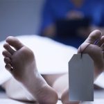 جريمة الإسكندرية.. أم تنهي حياة نجلها في كرموز - 1 - سيناء الإخبارية