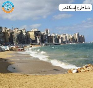 الإسكندرية تغلق شواطئها مؤقتًا بعد ارتفاع الأمواج إلى 3.2 متر - 1 - سيناء الإخبارية