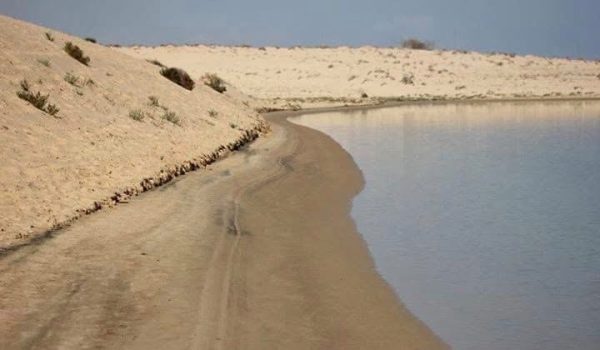 شرايين الحياة في شمال سيناء.. أرض خصبة تجمع الزراعة والثروات الطبيعية - 5 - سيناء الإخبارية