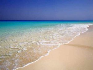 مطروح والساحل الشمالي.. جاذبية طبيعية وتطور متسارع يحولانها إلى وجهة سياحية عالمية - 7 - سيناء الإخبارية
