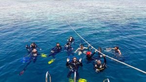 الغردقة وسفاري البحر الأحمر.. سحر لا يقاوم يجذب آلاف السياح الأوروبيين - 7 - سيناء الإخبارية
