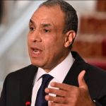 مصر تؤكد حماية أبنائها في الخارج وتواجه حملات التشويه الإخوانية - 1 - سيناء الإخبارية