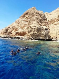 الغردقة وسفاري البحر الأحمر.. سحر لا يقاوم يجذب آلاف السياح الأوروبيين - 13 - سيناء الإخبارية