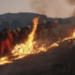 حرائق كاليفورنيا تتصاعد.. “كاستايك” تحت الإجلاء و”لوس بادريس” خارج السيطرة - 1 - سيناء الإخبارية